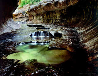 The subway pools are emerald pools of the Left Fork of North Creek in a tunnel-like slot canyon that doubles as a park trail for canyoneering in Zion.