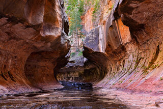 The entrance to Subway Canyon in Zion National Park is a spectacular tight section of the Great West Canyon and the Left Fork of North Creek.