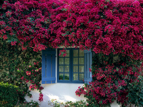 The Blue Window at La Quinta