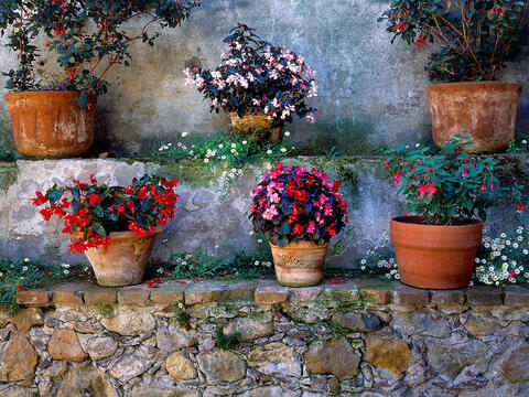 Secret Courtyard, Mission San Juan Capistrano