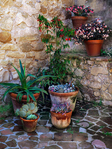 San Juan Capistrano Courtyard