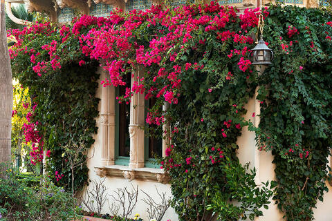 Casamonte, Hearst Castle 
