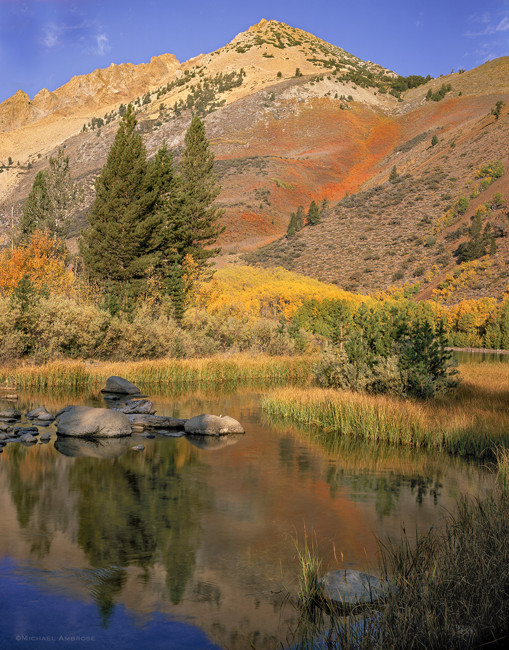 Autumn color decorates the hills near North Lake in the Eastern Sierra, California