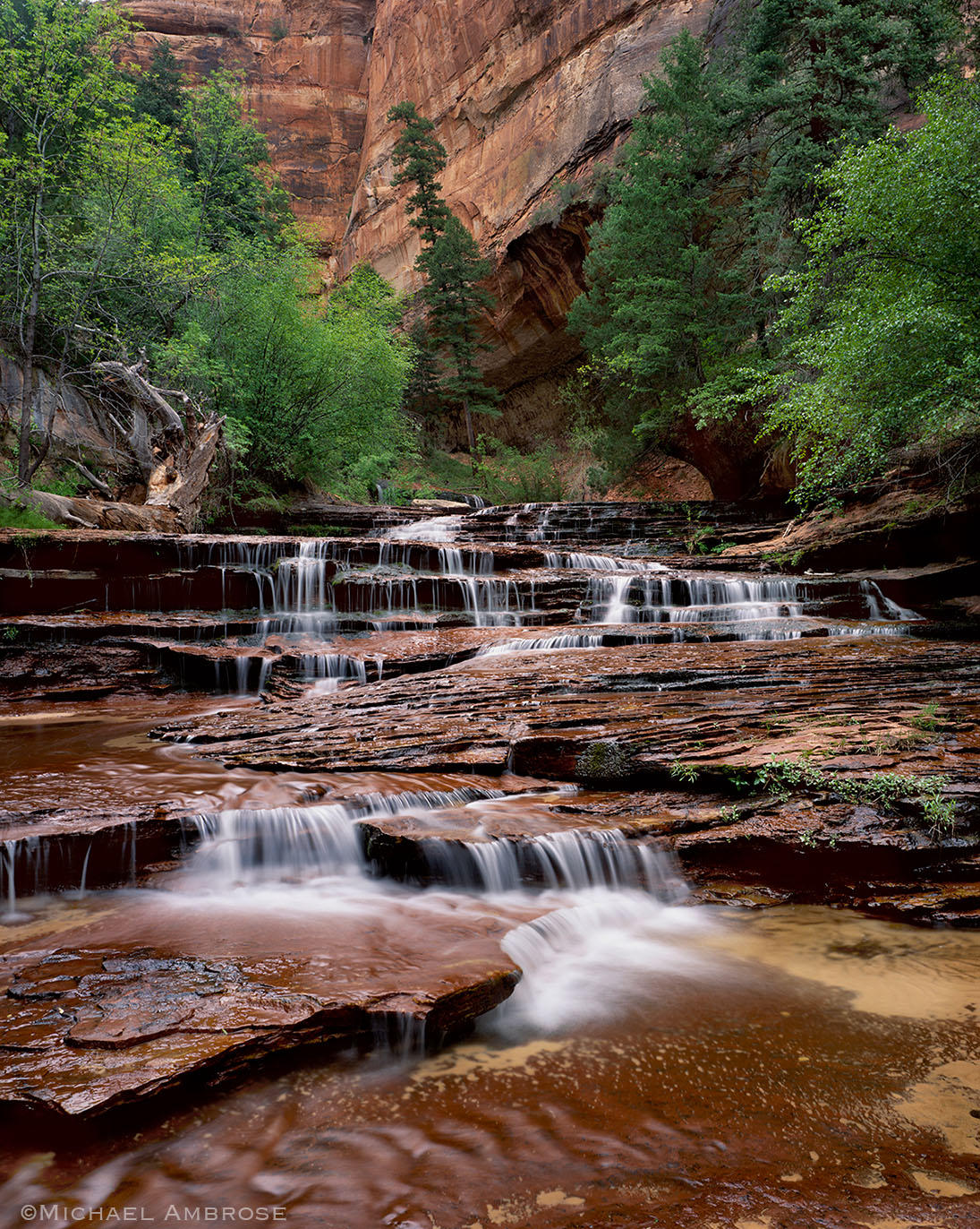 Subway Falls is the beginning of the slot canyon that cradles the Left Fork of North Creek in Zion National Park.