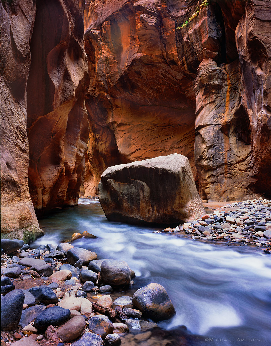 The Wall Street section of the Virgin River Narrows is best known for dramatic slot can and glowing diffused light.