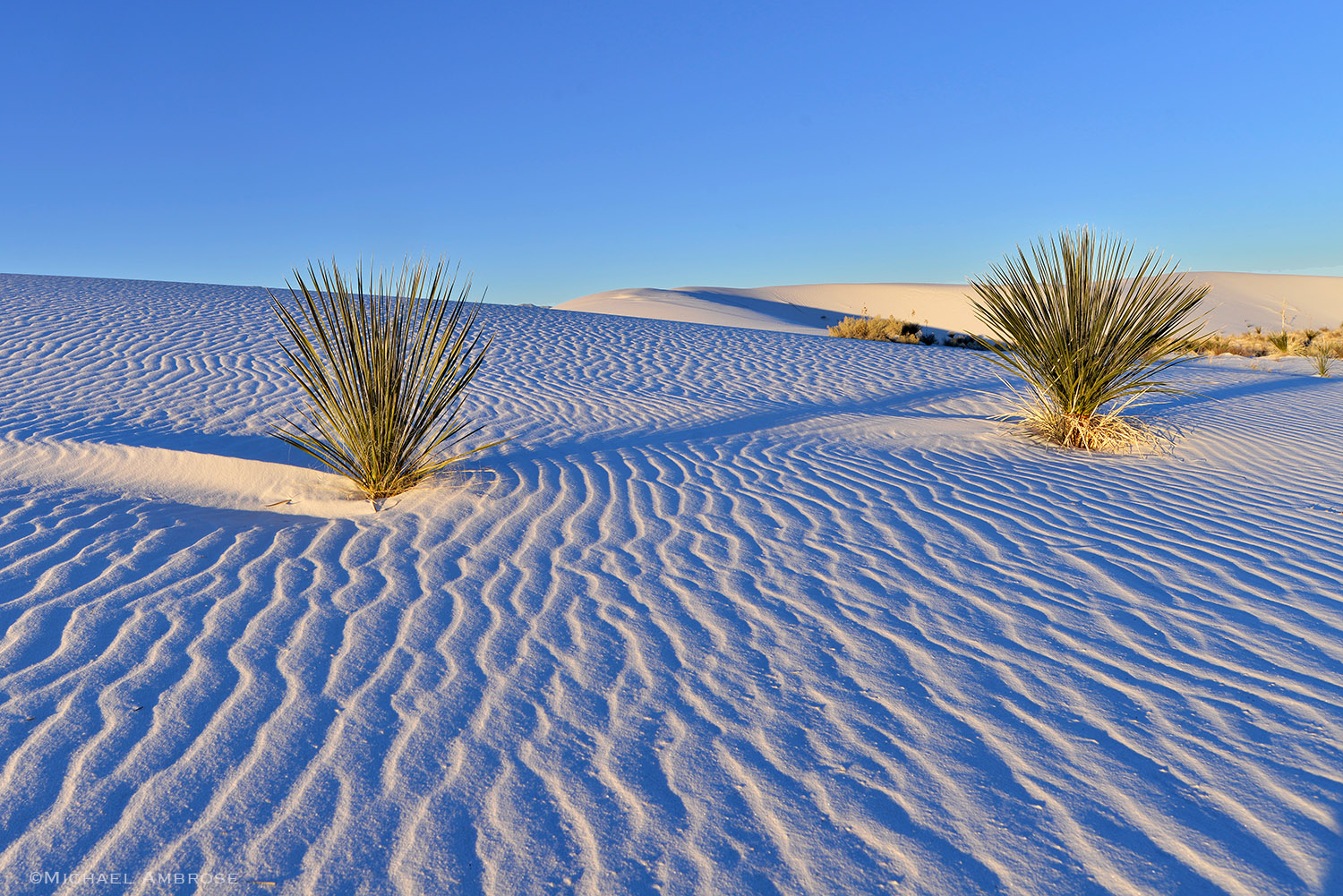Ripples in pure white sand dunes seem to stretch endlessly in White Sands, New Mexico.