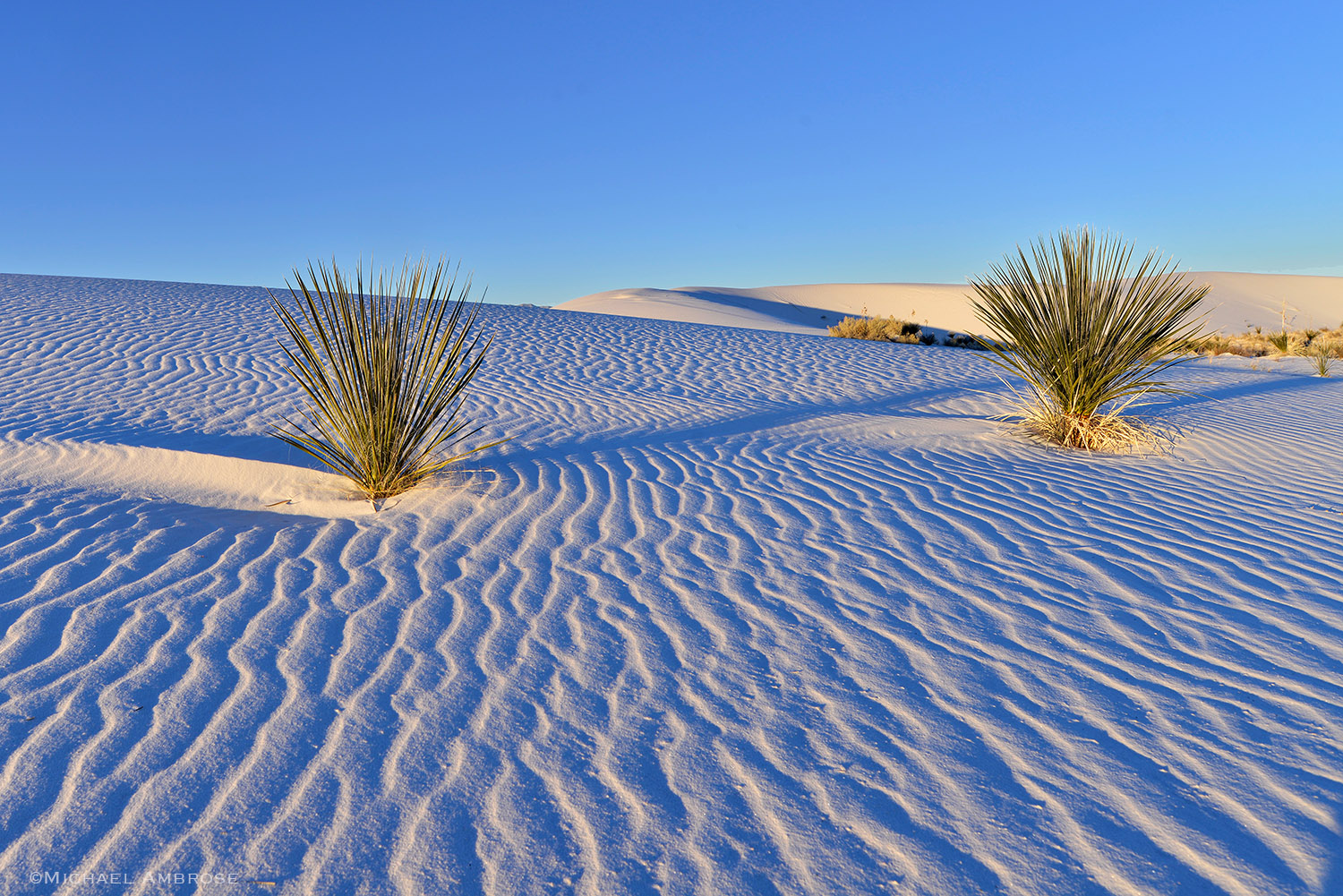 Ripples in pure white sand dunes seem to stretch endlessly in White Sands, New Mexico.