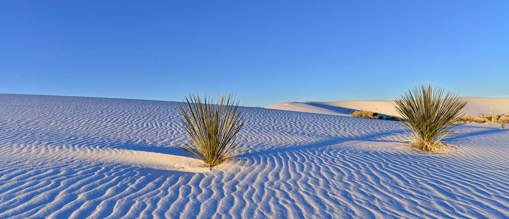 White Sands National Park comprises a vast 275 square mile sea of pure white gypsum sand dunes. You feel as though you have stepped...