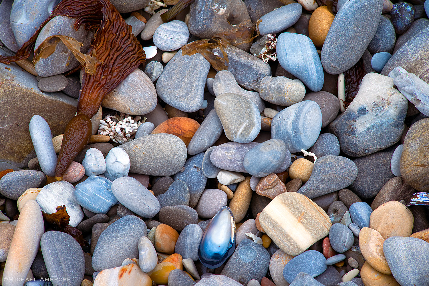 Ocean polished pebbles, found on the rocky cliff beaches of Montana de Oro State Park in central California, have a lengthy story to tell.