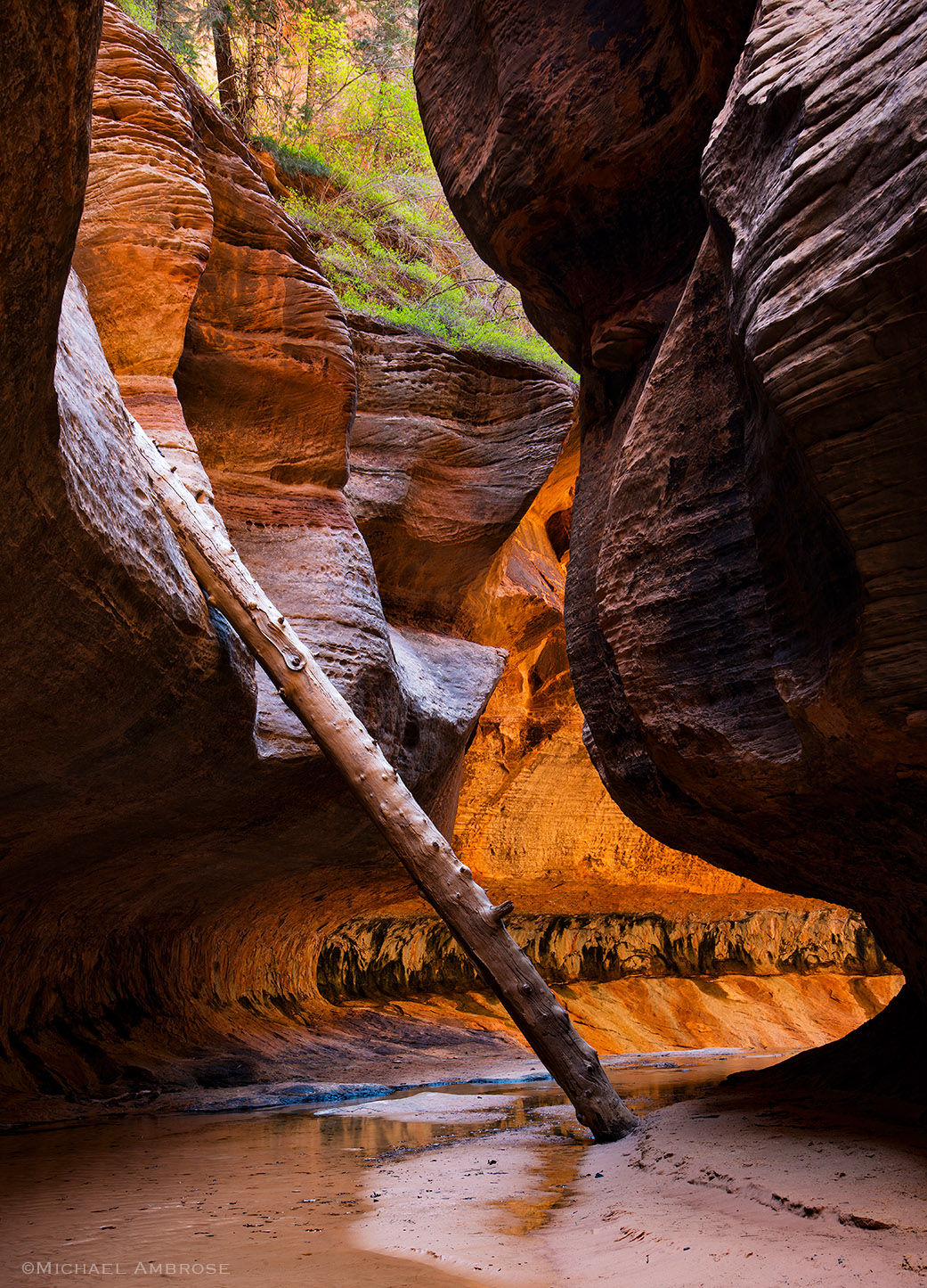 Deep into the subway section of Left Fork, light glows in the wildly popular slot canyon that draws hikers and canyoneers.